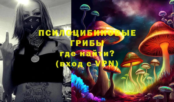 мдпв Медногорск