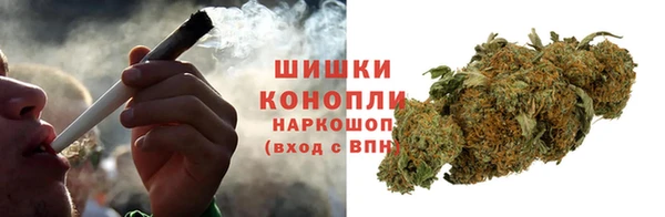прущие грибы Медвежьегорск