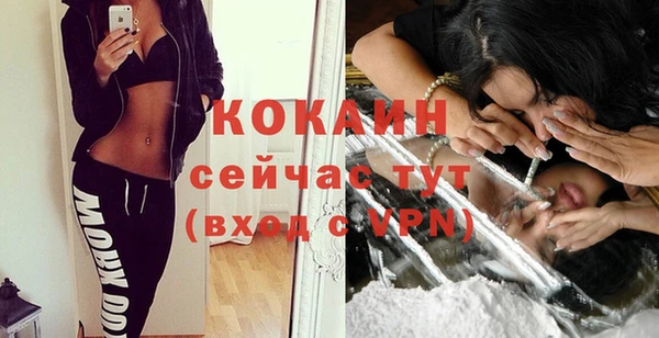 дмт Бикин