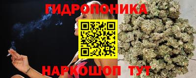 кокаин Моздок