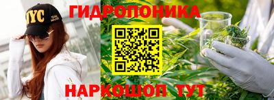экстази Можга