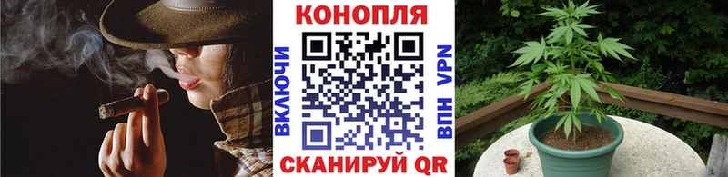 где можно купить наркотик  Прохладный  Конопля сатива 